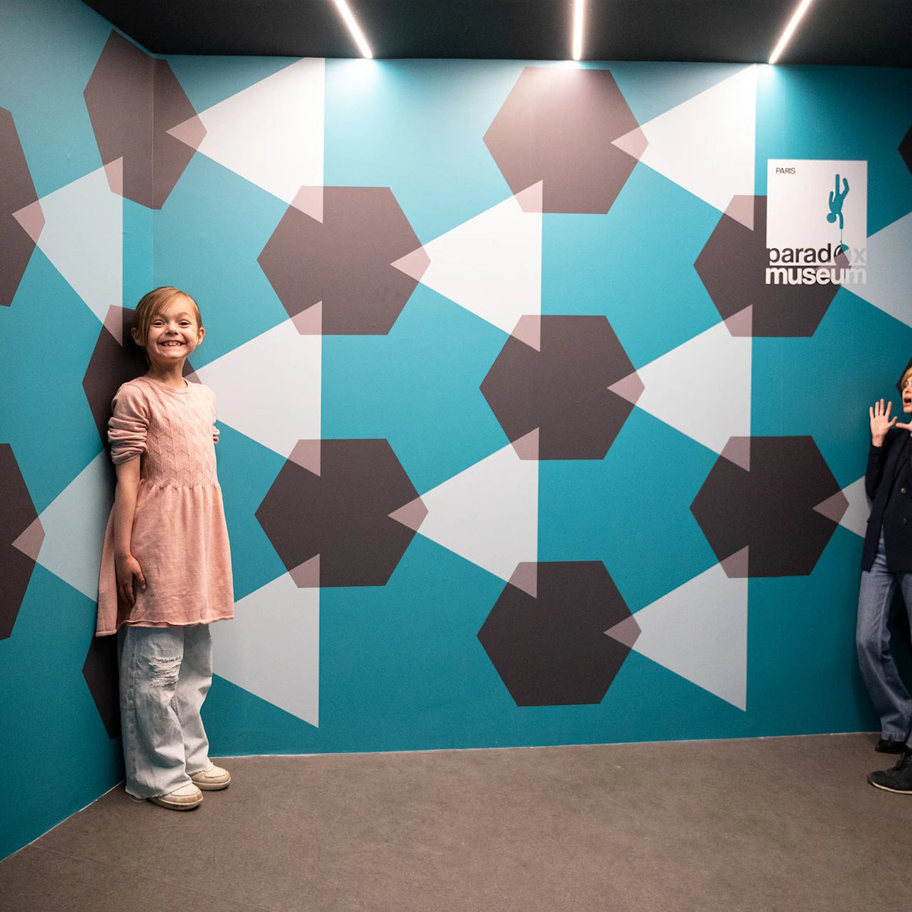 Ames room