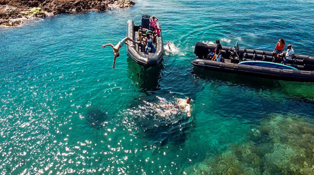 享受您与黑色招标的时光