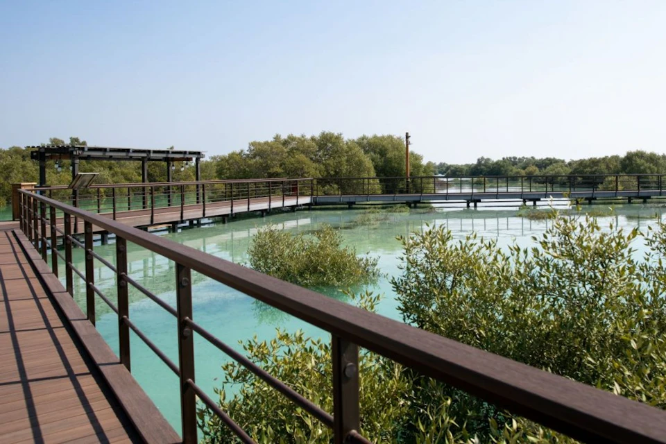 Jubail Mangrove Park - Boardwalk Experience