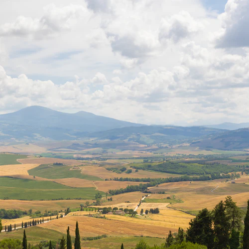 Monteriggioni e Val D'Orcia: Excursão de um dia a partir de Florença - Photo 28