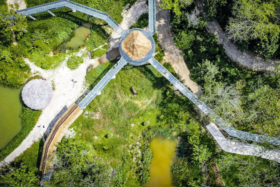 Aerial view of a green park with elevated walkways converging at a central hut structure, surrounded by greenery and ponds.