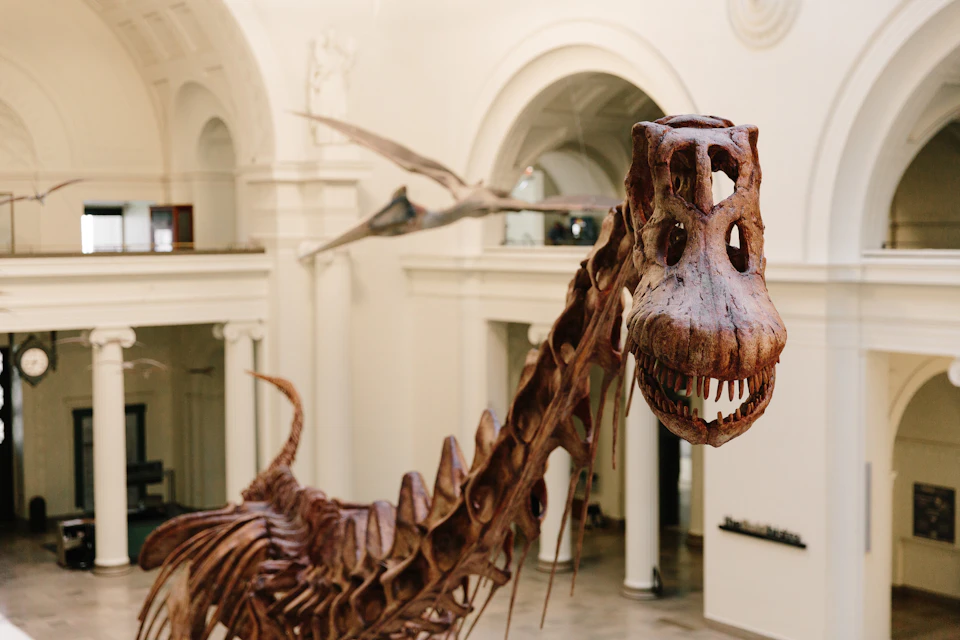 Dinosaur skeleton exhibited in a museum with an arched ceiling and pterosaur skeleton suspended in the background.