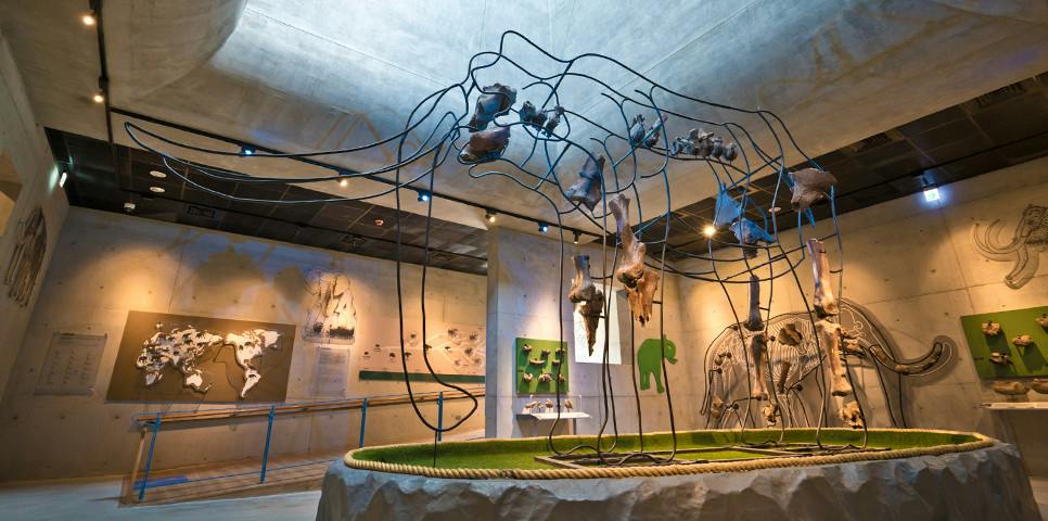 Fossilienpark Zuojhen in Tainan
