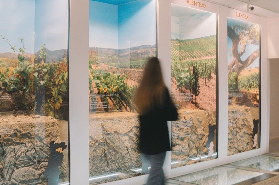 The Wine Experience Museum