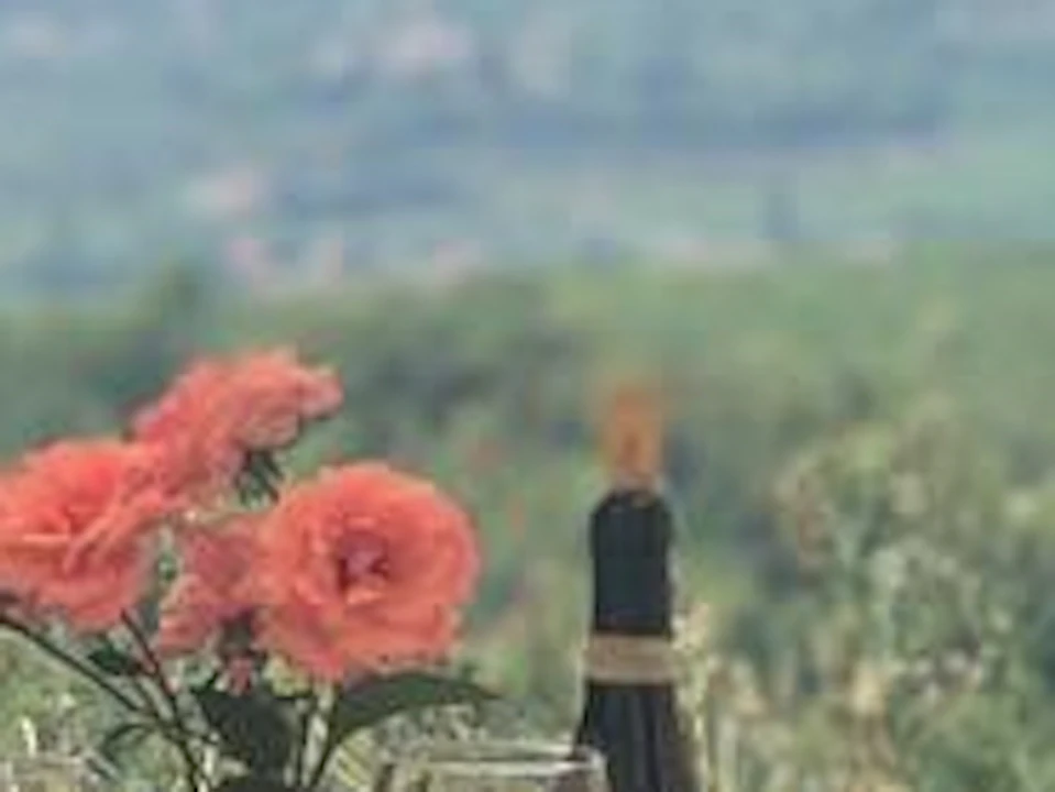 A woman in cycling gear sits at an outdoor table set with food, wine, and flowers, with a scenic hilly landscape in the background.