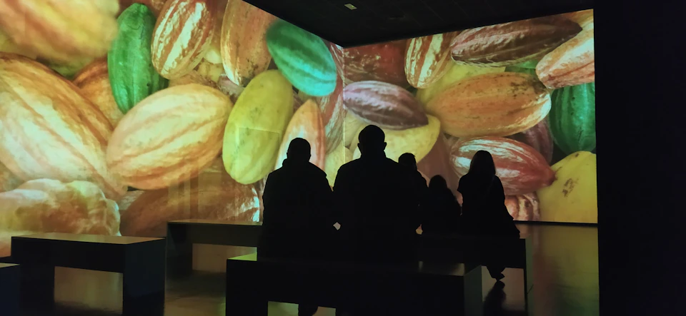 People seated in a dark room, watching a large screen displaying an image of colorful cocoa pods.