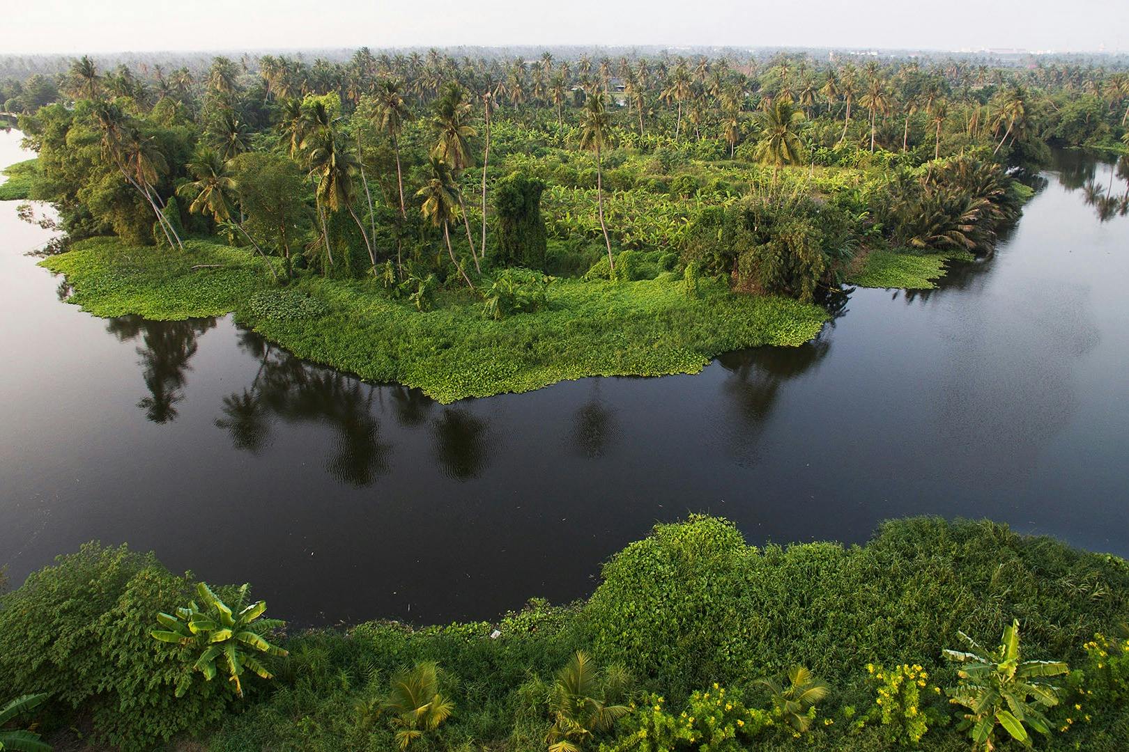 La nature entourant le village local thaïlandais