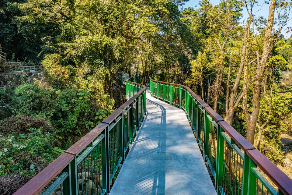 A curving walkway with green railings surrounded by lush trees under a clear blue sky.