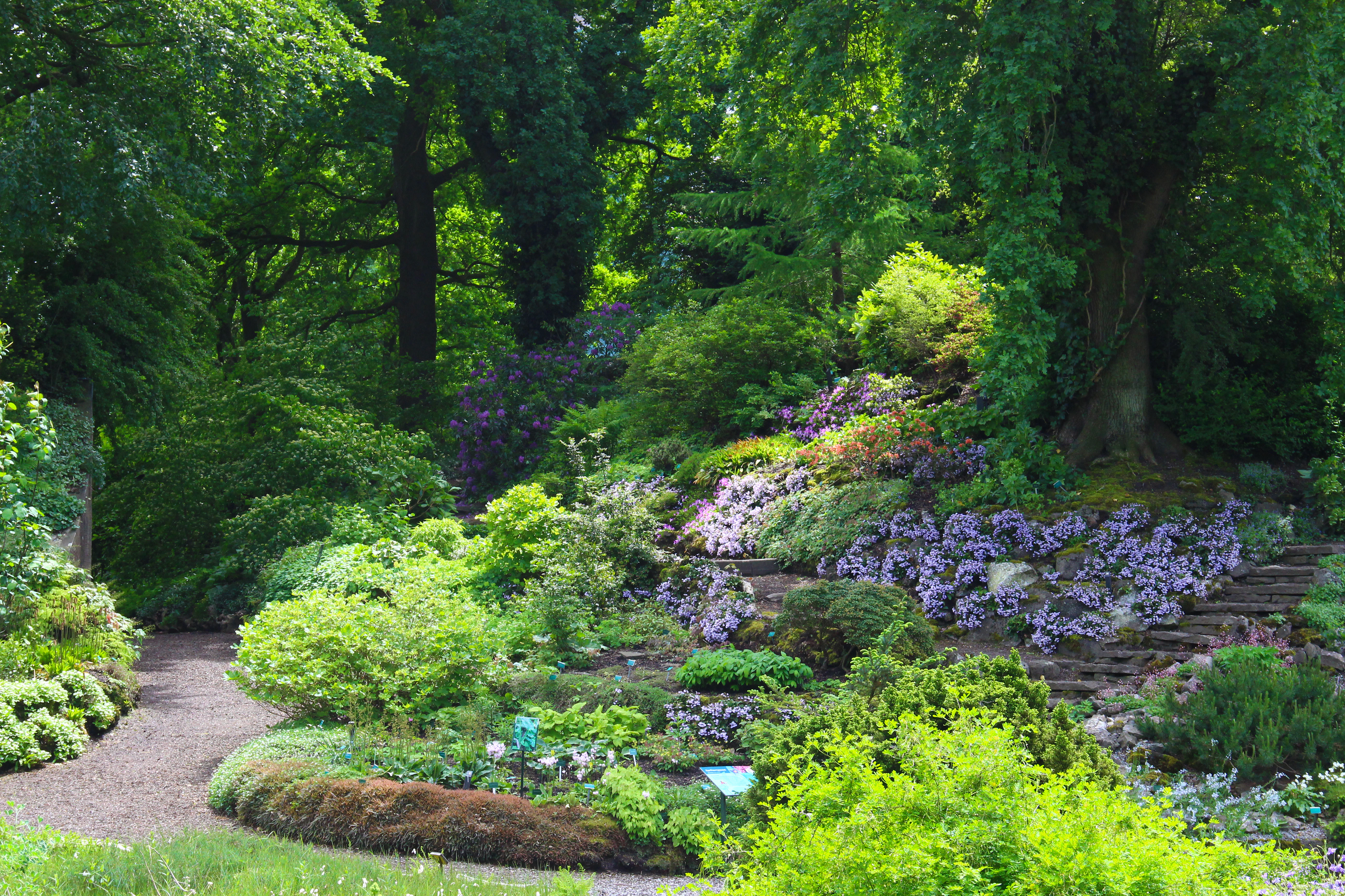 Utrecht University Botanic Gardens Tickets Utrecht utrecht-university-botanic-gardens-tickets-utrecht