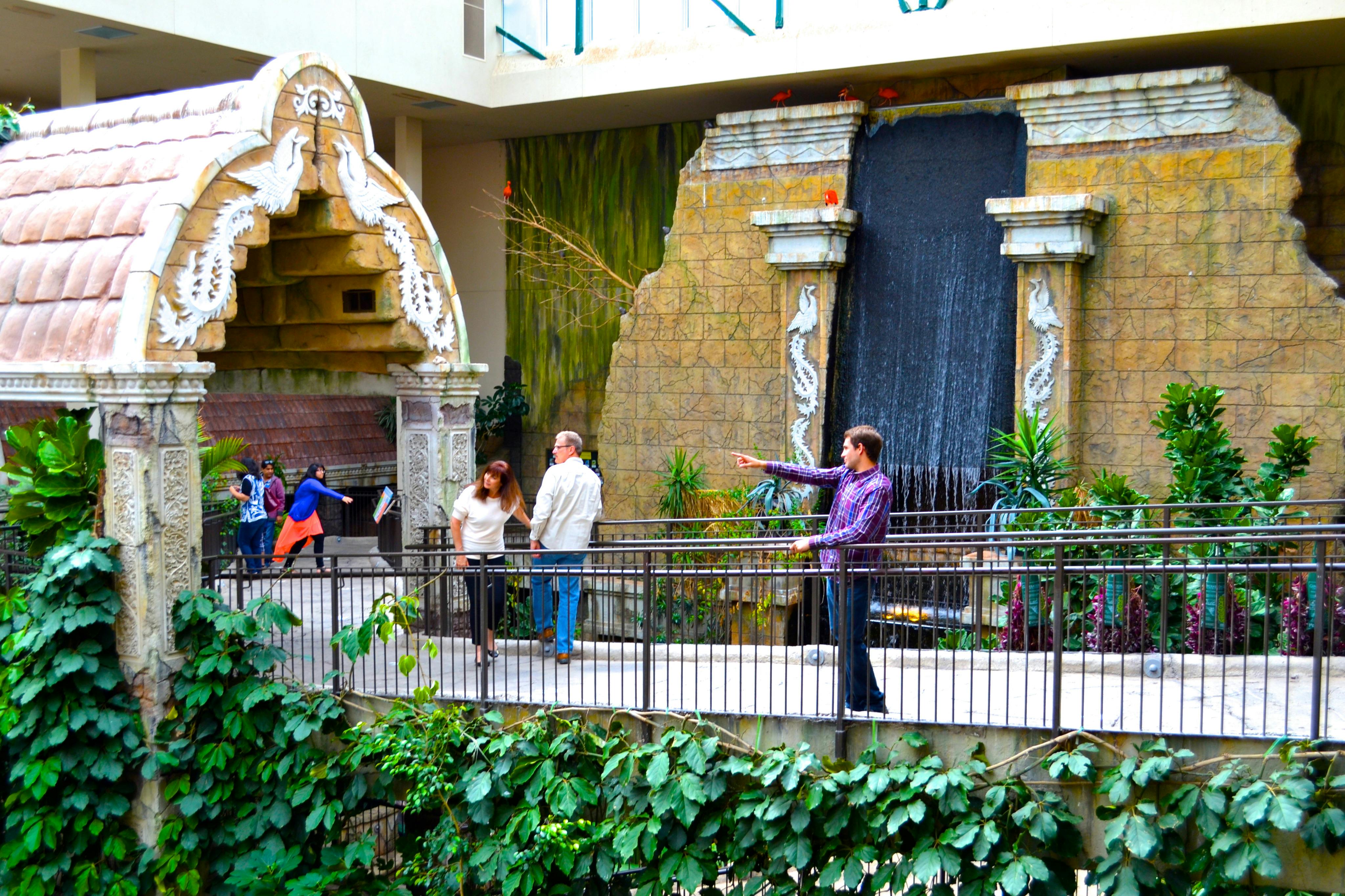 植物と滝を背景にした屋内庭園の装飾的な橋の上を歩いたり、交流したりする人々。