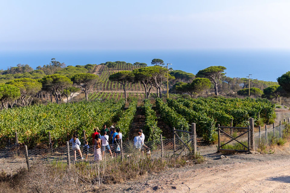 Gruppo di persone in visita al vigneto di Poggio Turco alle Ripalte, nel comune di Capoliveri