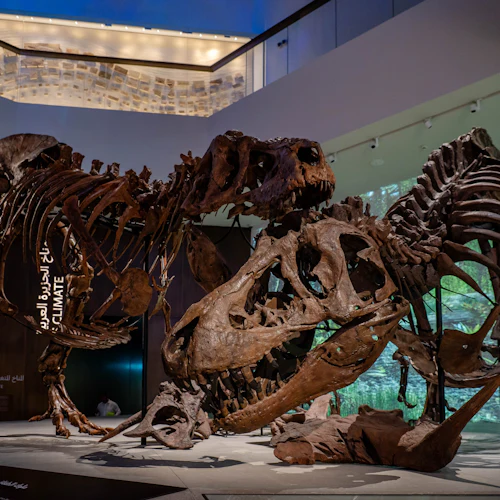 Museu de História Natural de Abu Dhabi: bilhete de entrada - Photo 3