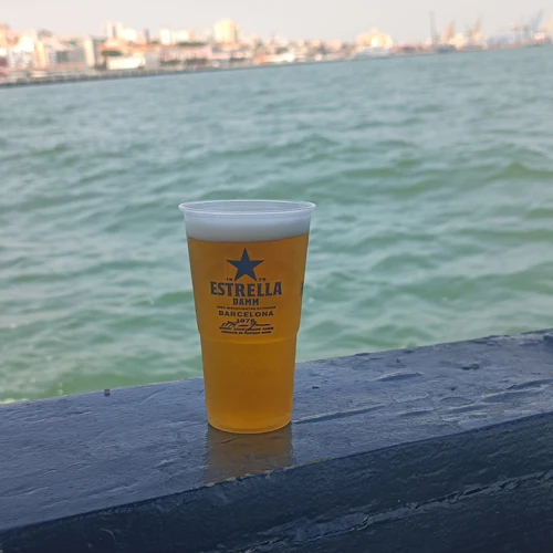 Cascais: Guided Coastal Cruise + Drinks - Photo 4