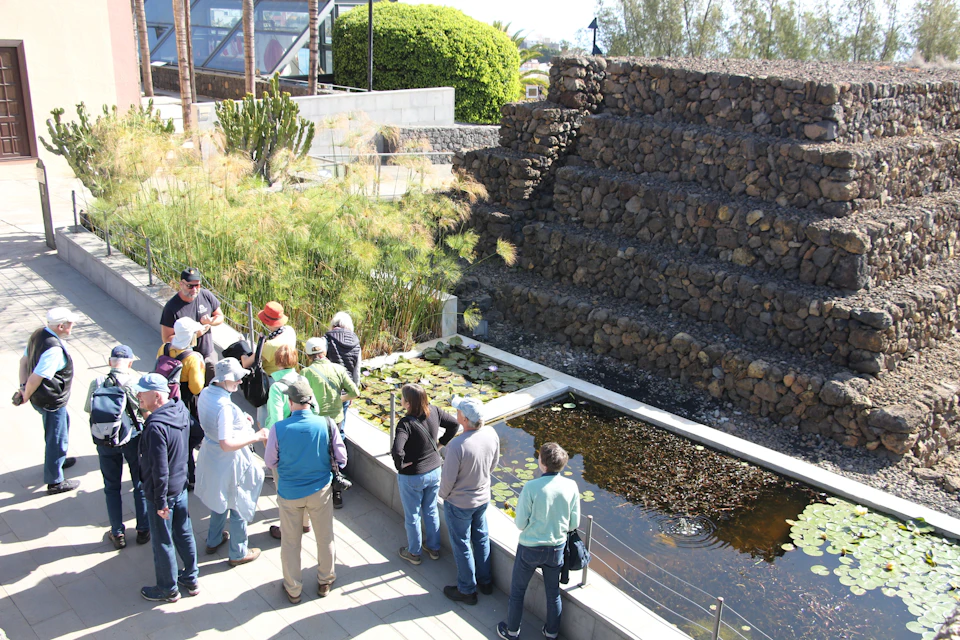 Guided tour of the Pyramids