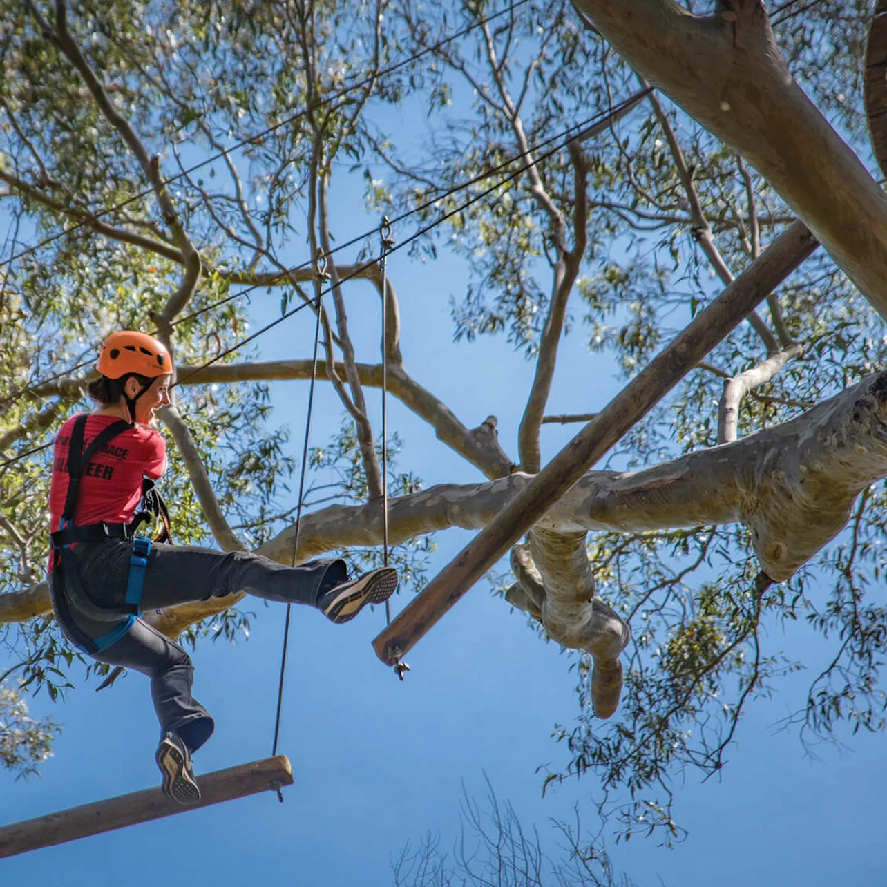 Western Sydney: Treetops Adventure in Abbotsbury β Tiqets