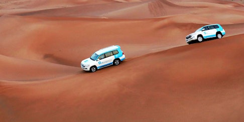 Desert Morning Safari