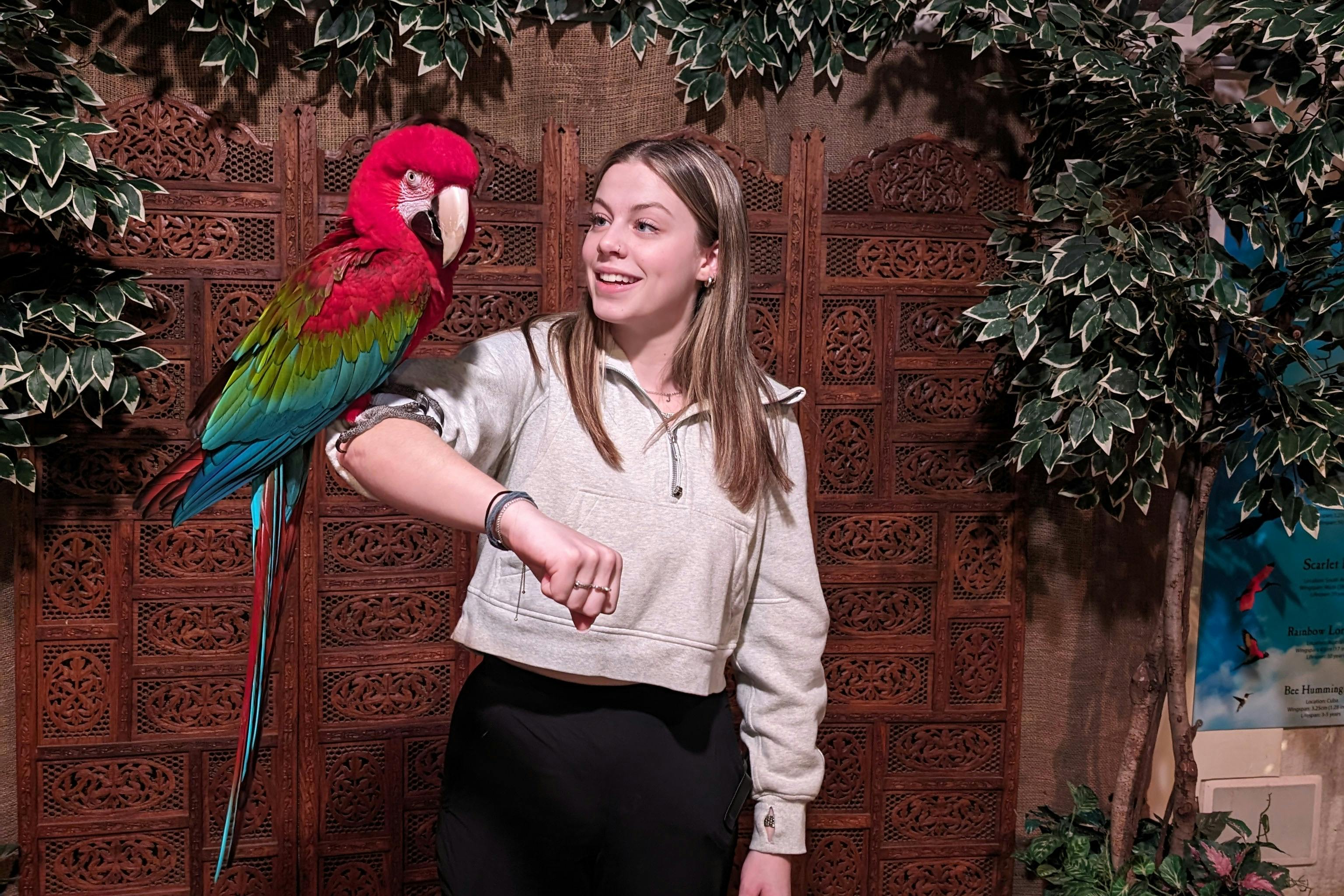 緑豊かな装飾が施された装飾的な木製スクリーンの前に立っている女性が、カラフルなオウムを腕に抱えながら微笑んでいます。