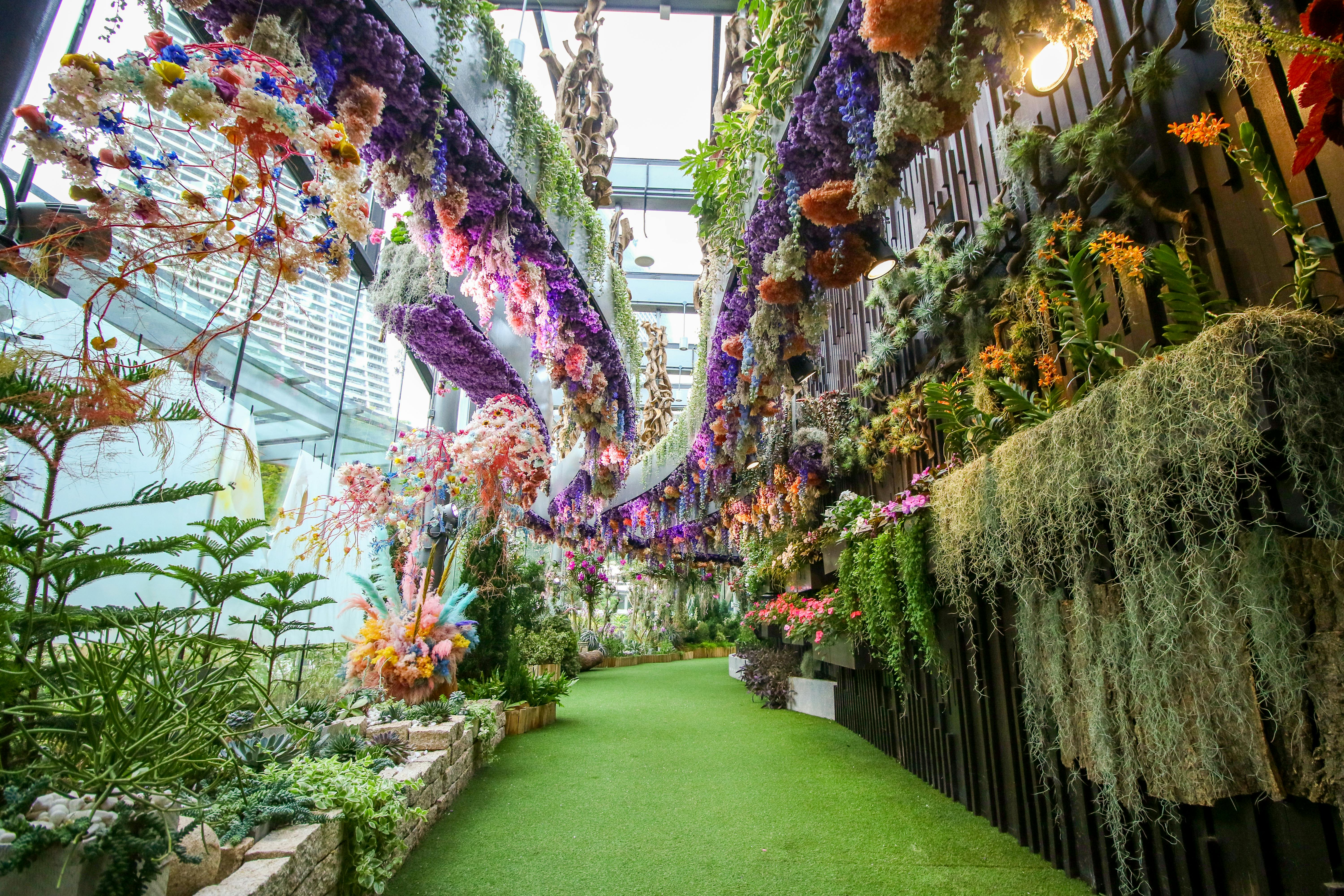 Indoor garden with a green turf pathway, vibrant hanging flowers, and lush greenery on walls, under a glass ceiling.