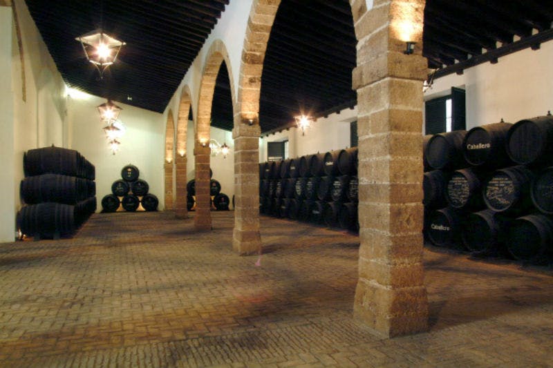 Cádiz to Puerto Santa María + Wine Tasting Tiqets