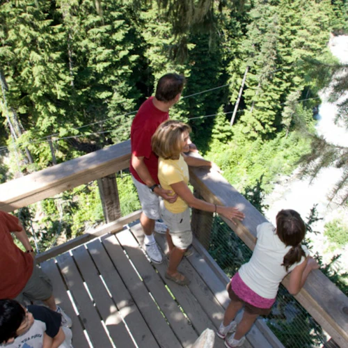 Whistler ZipTrek Ecotours: TreeTrek Adventure - Photo 8