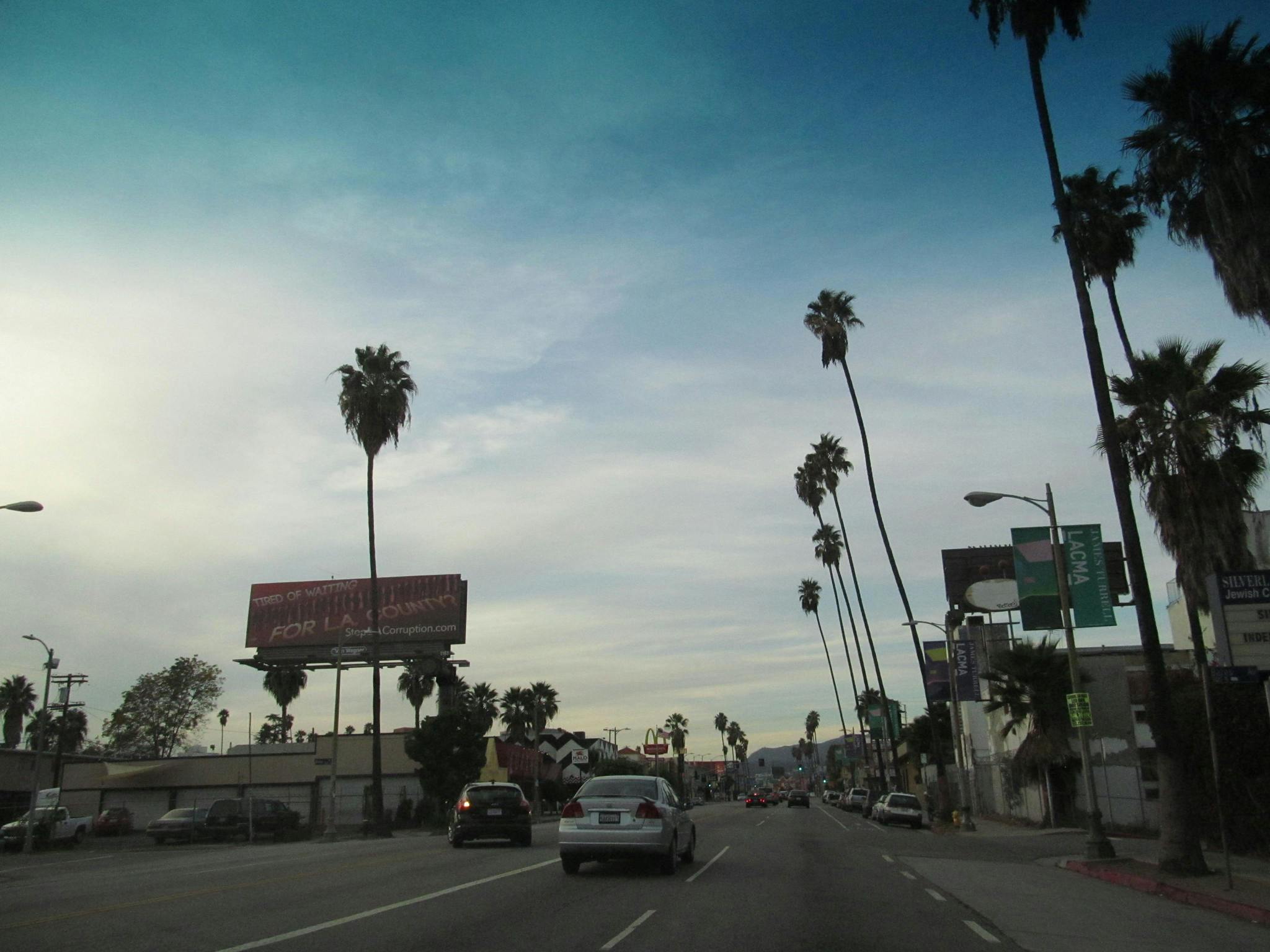 部分的に曇った空の下、背の高いヤシの木と看板が並ぶ通りを走る車。