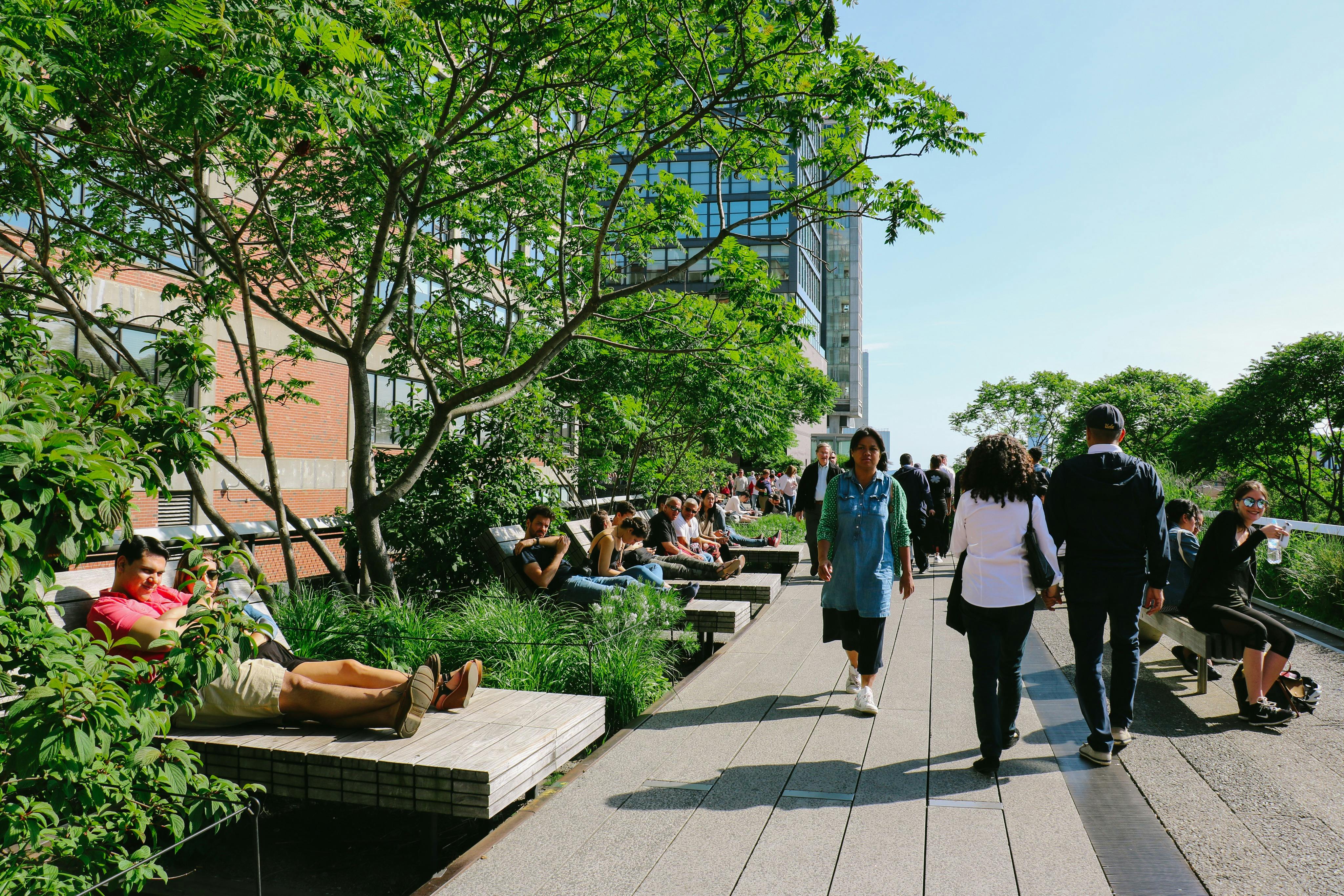 Vstupenka High Line, Chelsea a Hudson Yards Walking with Edge