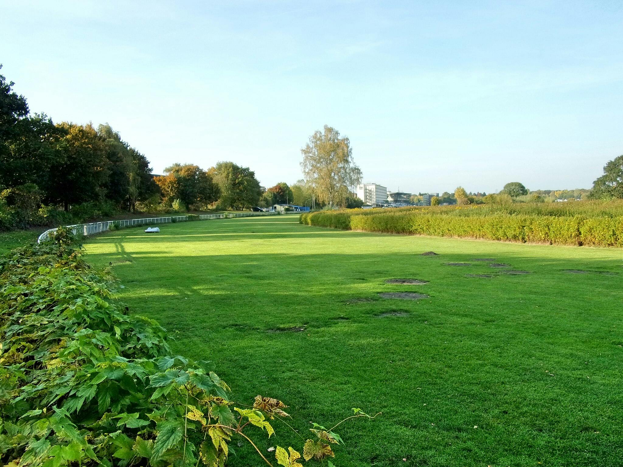 Freizeitpark Horner Rennbahn w Hamburgu