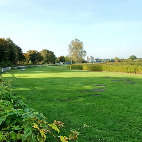 Gräsfält med frodiga gröna häckar och avlägsna träd. En vit byggnad syns i bakgrunden under en klar himmel.