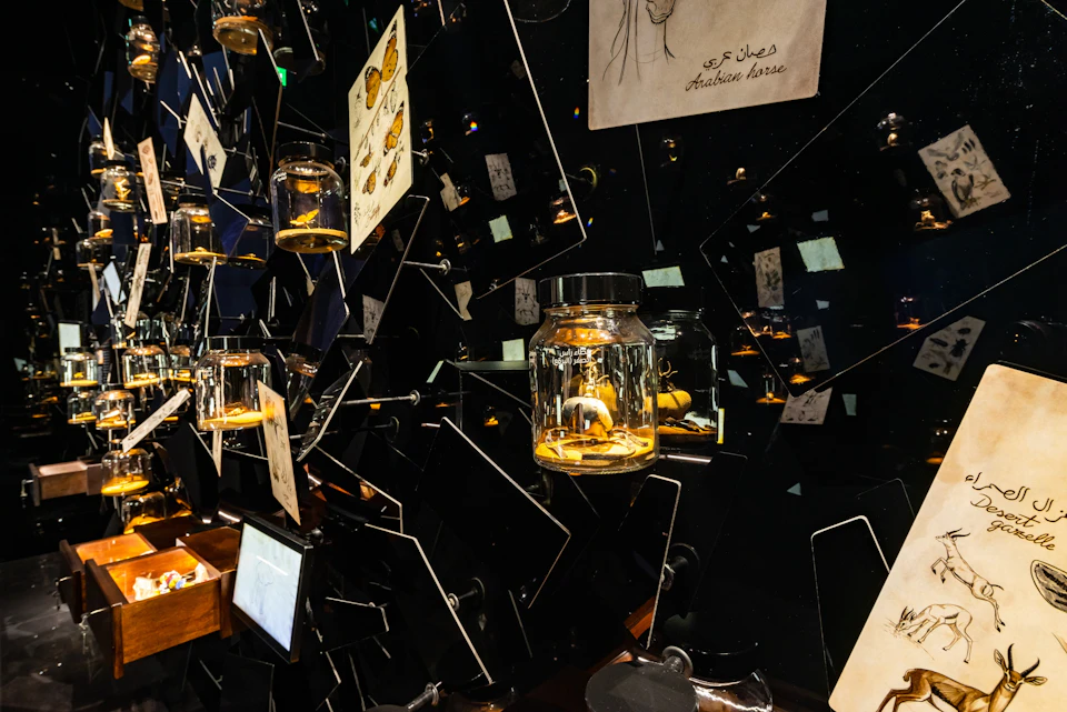 A display of glass jars containing objects, surrounded by mirrors and sketches, creating a reflective and artistic exhibit.
