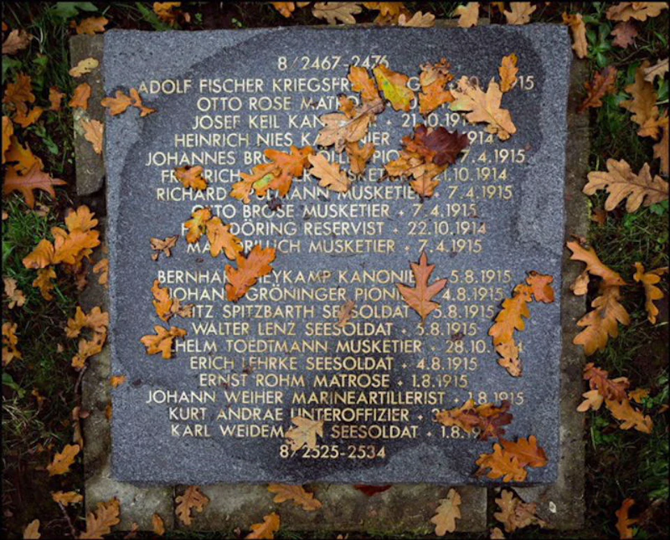 A memorial plaque on the ground covered with autumn leaves, engraved with names and dates of soldiers.