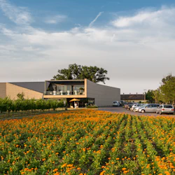 En modern byggnad med balkong, omgiven av fält med apelsinblommor och en parkeringsplats med bilar under en delvis molnig himmel.