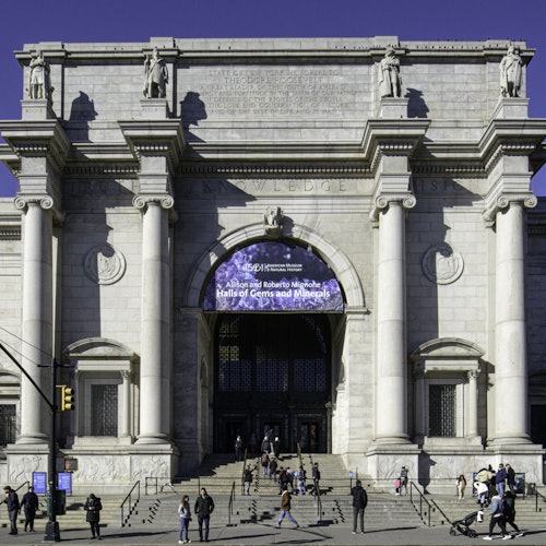 ニューヨーク アメリカ自然史博物館 Eチケット(即日発券)