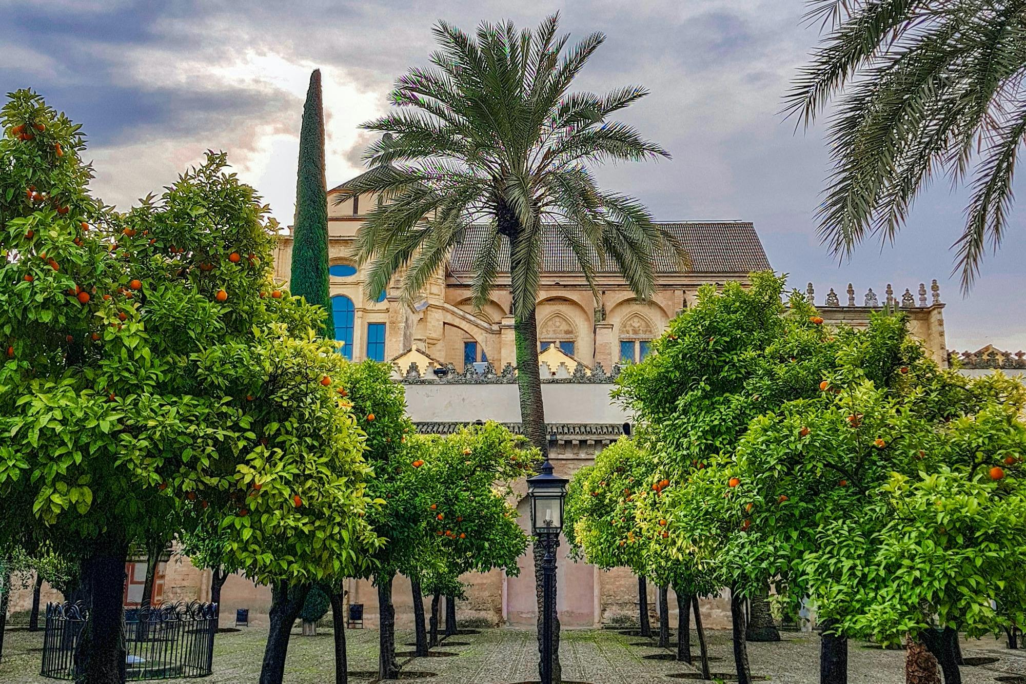 Patio de los Naranjos della Moschea della Cattedrale
