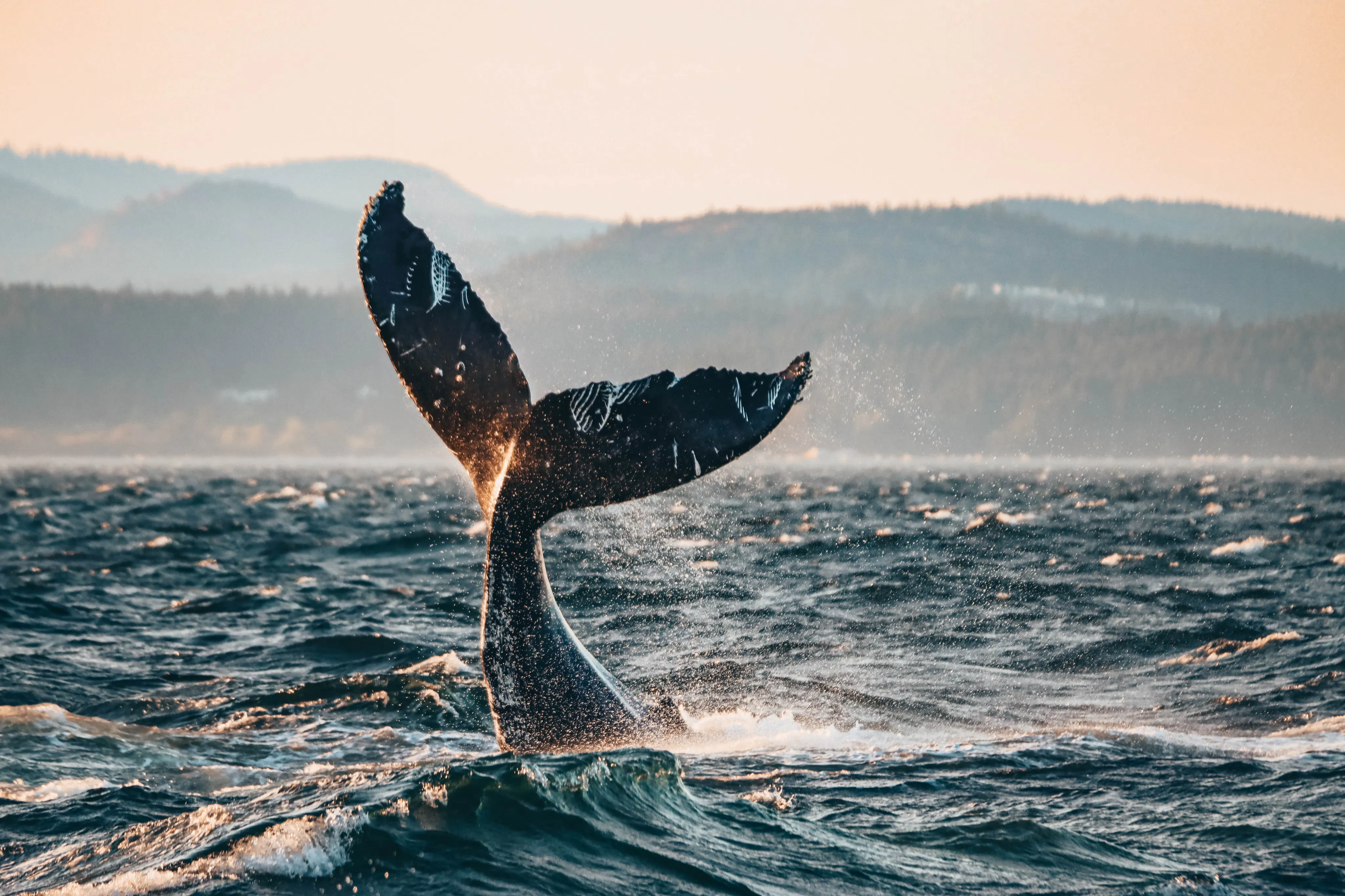 Outdoor & Sport Activities in Vancouver
