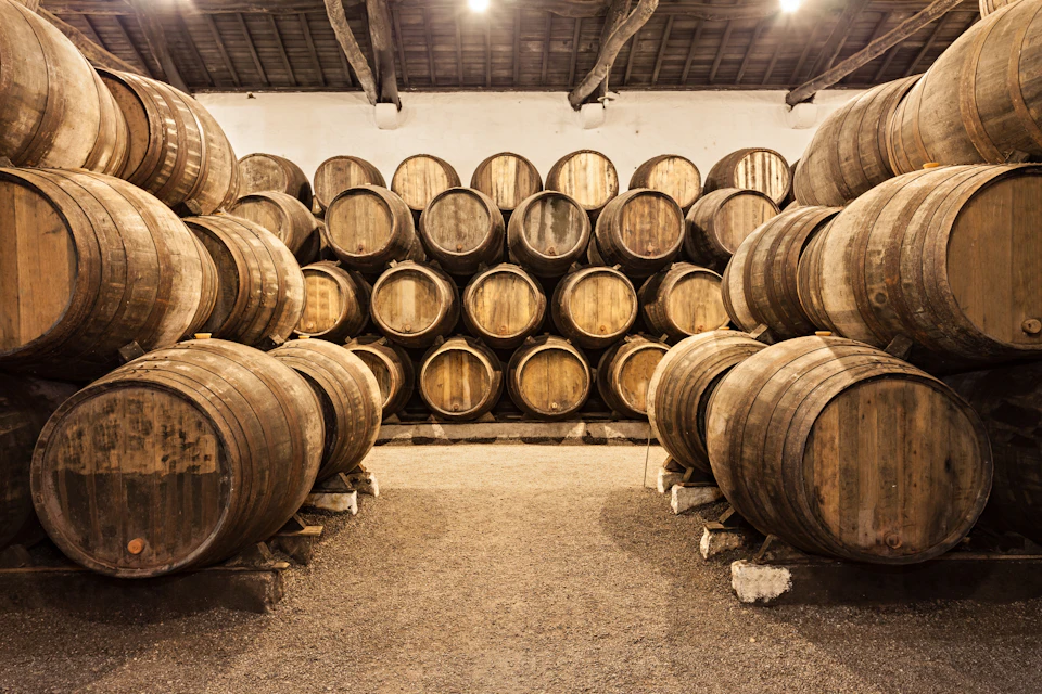 Wine Cellar
