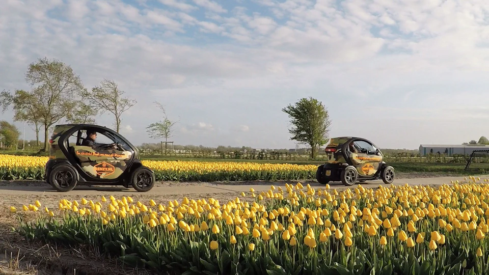 Ride along the amazing tulip and flower fields