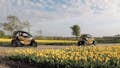 Ride along the amazing tulip and flower fields