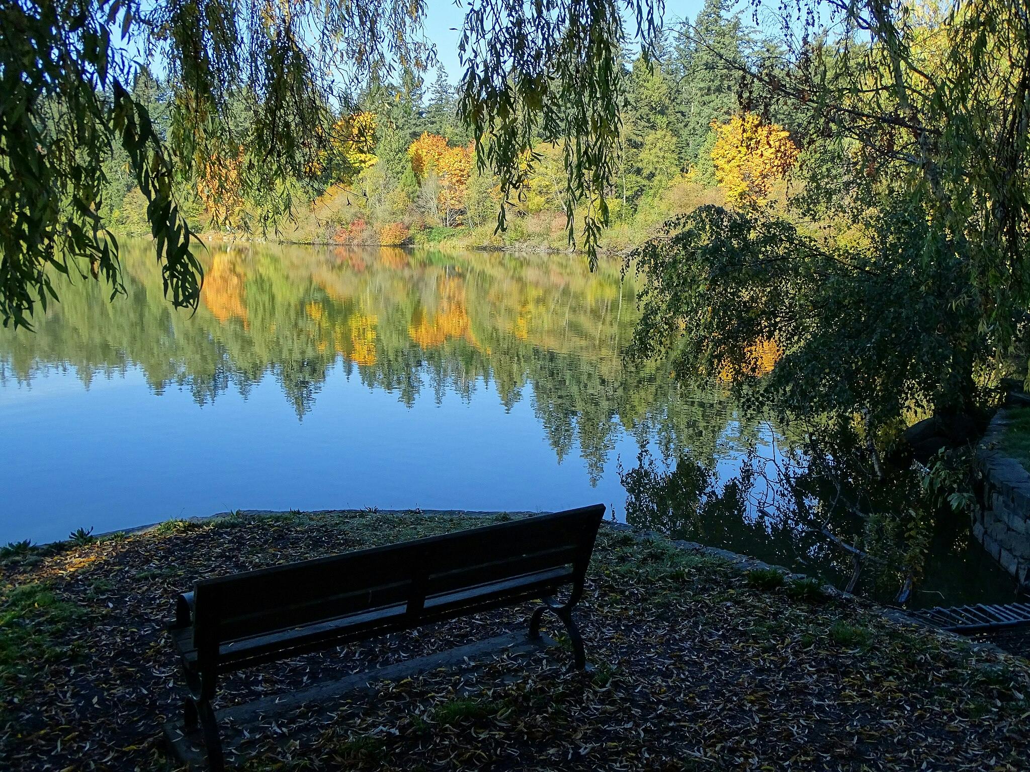 Un banc face à un lac serein entouré d'arbres au feuillage d'automne, se reflétant dans l'eau sous un ciel clair.