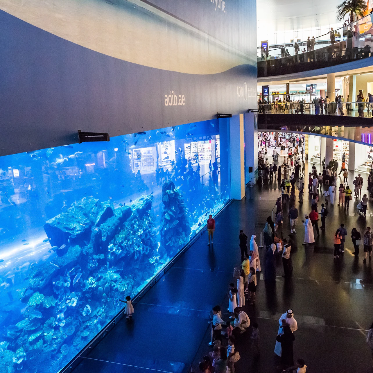 Dubai Aquarium & Underwater Zoo: Entry Ticket + Ray Encounter 2