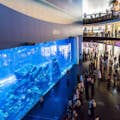 Aquário e zoológico subaquático de Dubai