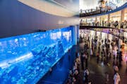 L'Aquàrium i el zoològic submarí de Dubai