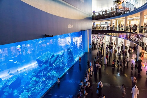 Dubai Aquarium & Underwater Zoo: Entry Ticket + Ray Encounter