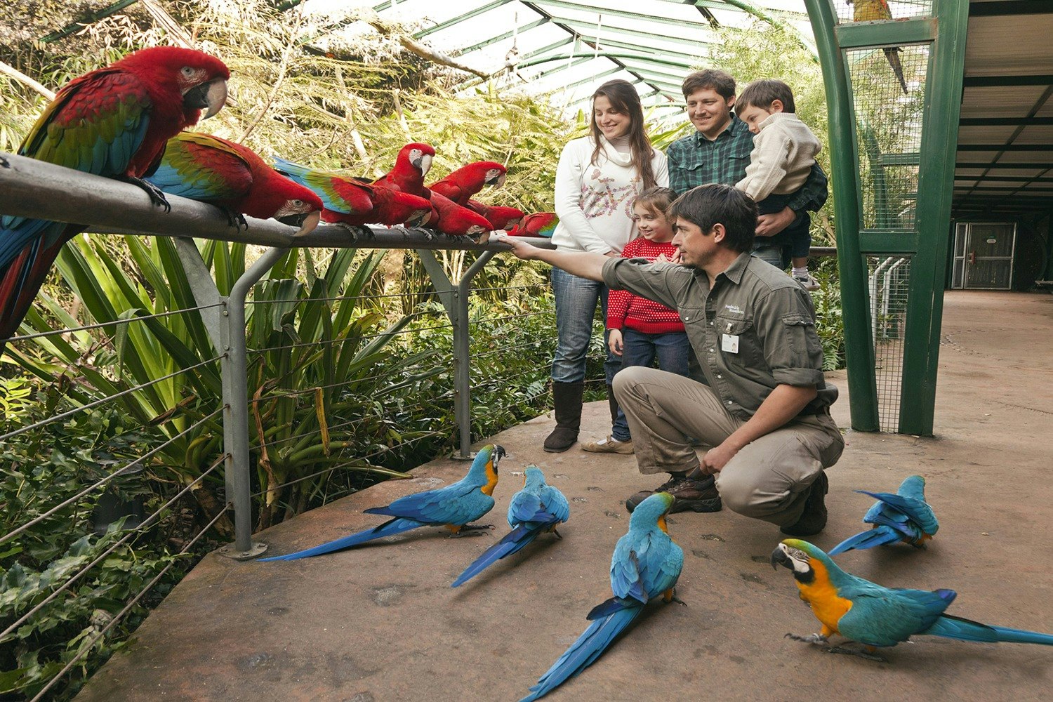 Bioparque Temaikèn: entrada e transporte a partir de Buenos Aires