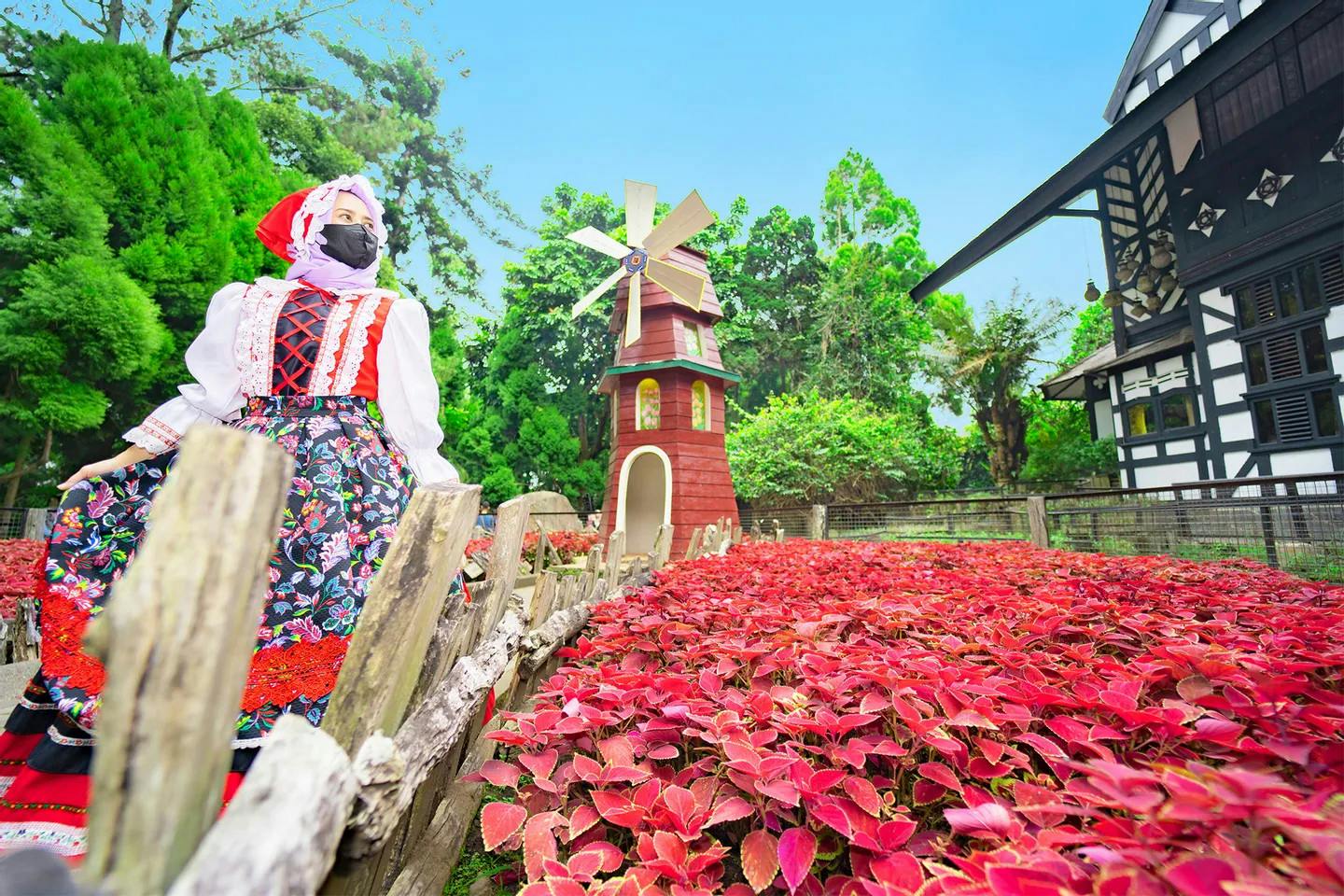 A person in traditional attire stands near a wooden fence by a garden with red foliage and a small windmill in the background.