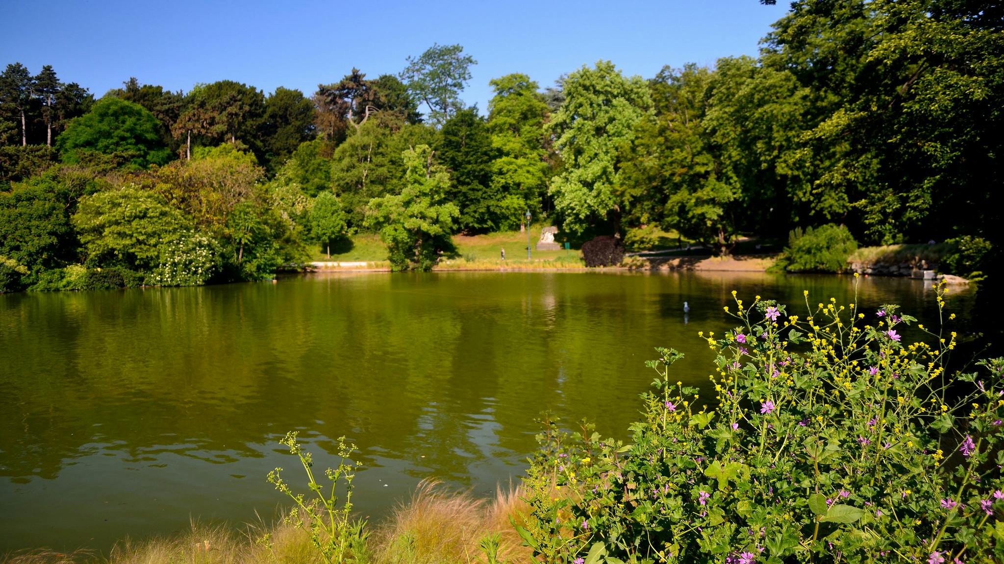 Klidný rybník obklopený bujnou zelení a divokými květinami pod jasně modrou oblohou.