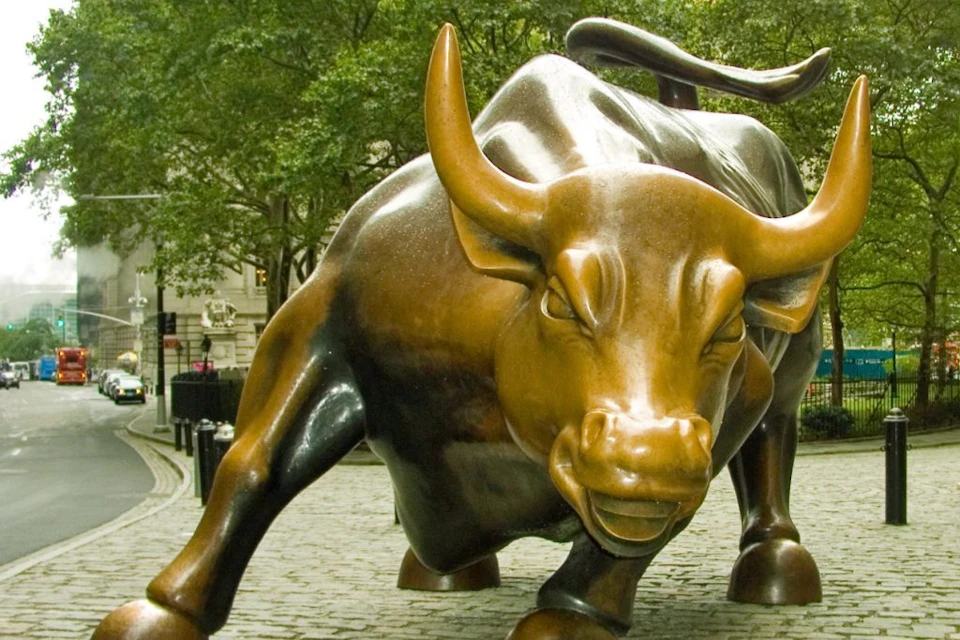 Charging Bull