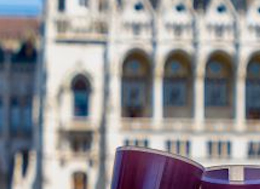 Budapest Danube Cruise with Unlimited Prosecco & Wine