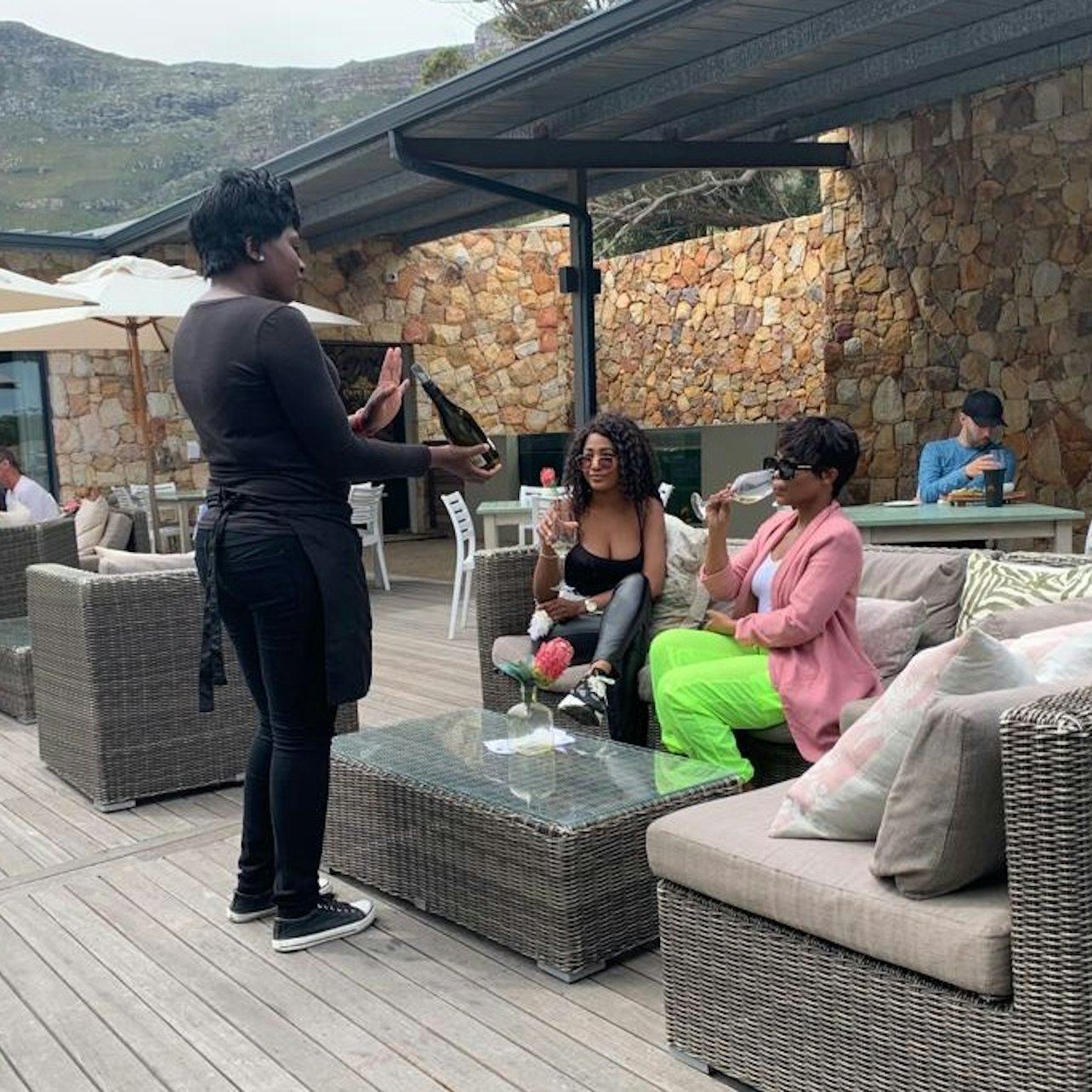 Excursión al vino de Cape Winelands y visita al guepardo - Alojamientos en Ciudad del Cabo