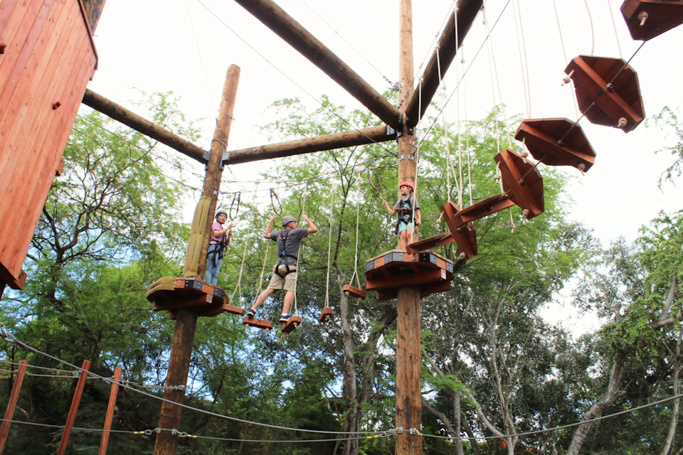 People navigating a ropes course suspended on wooden platforms with harnesses, set among trees under a clear sky.