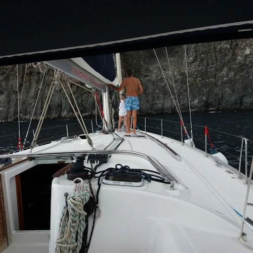 Tenerife: Passeio de barco a vela de 3 horas para observação de baleias e golfinhos com sanduíche e bebidas - Photo 6